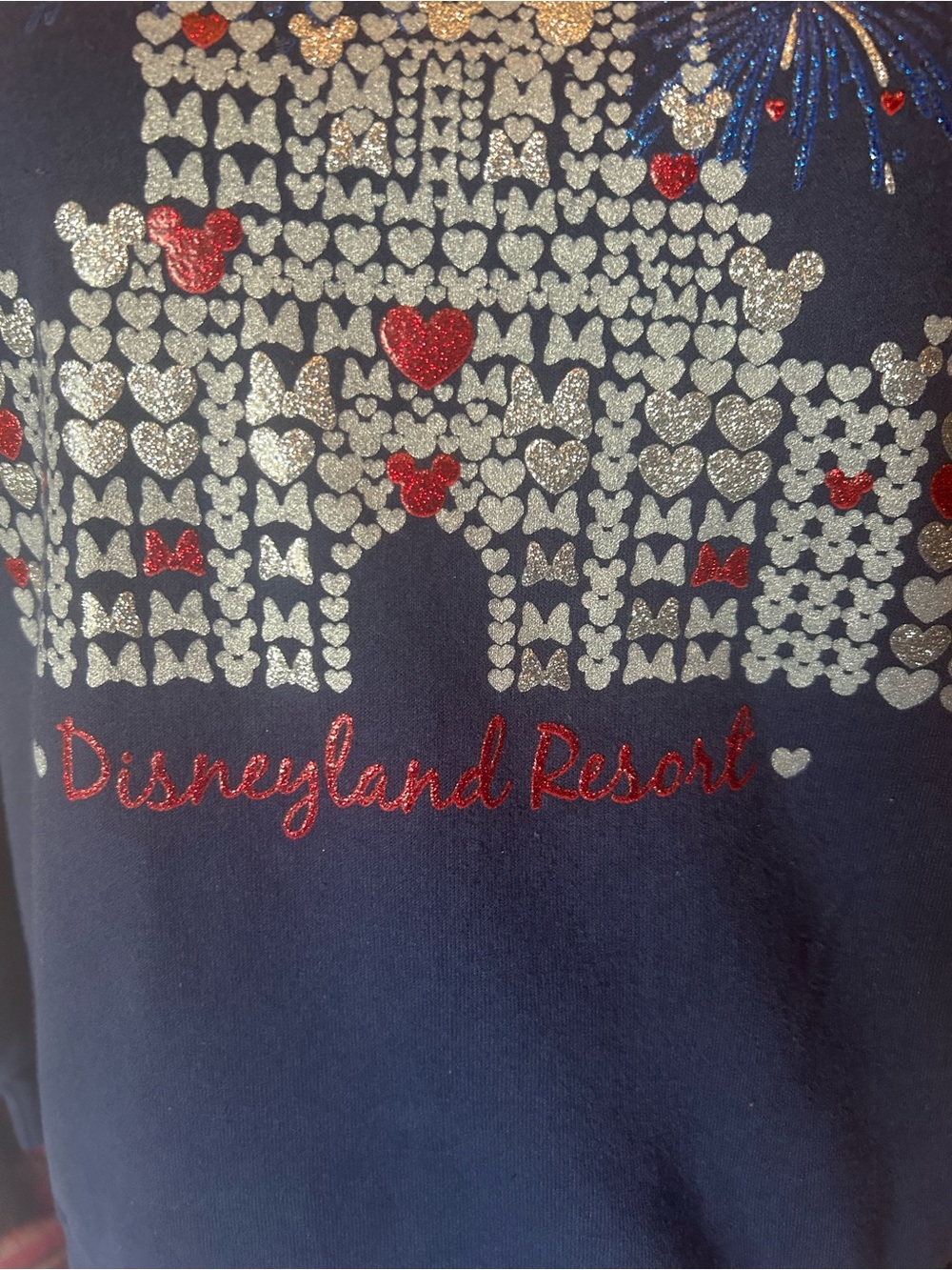 Disneyland Resort navy blue sweatshirt